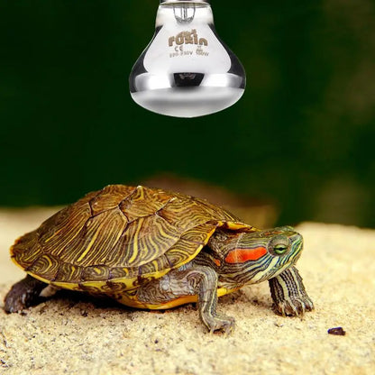 Pet Heating Lamp E27 Day Night For Amphibian Snake Lamp Heat Reptile Bulb Light 25W 50W 100W AC220-230V Hot Winter for Pet ﻿