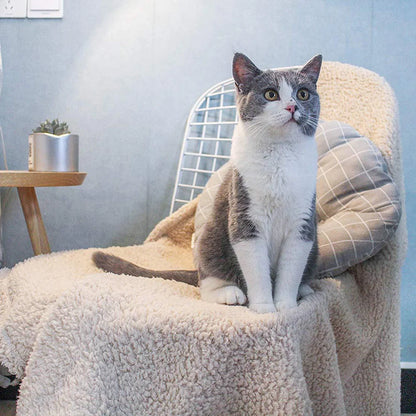 Dog Cat Blanket Size L Beige Cozy Mat Carpet Cushion for Winter Travel Pet Carpet Super Blanket