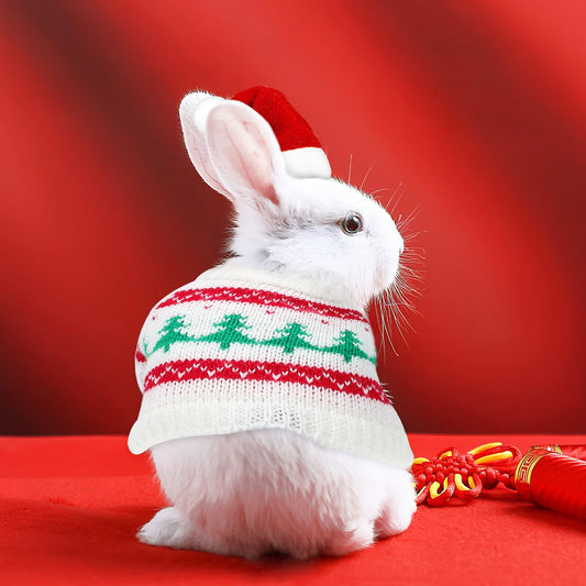 1Set Soft Small Pet Christmas Outfit Hat Sweater Costume Winter Clothes for Guinea Pig Bunny Hamster Rabbit Guinea Pig Clothes