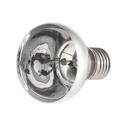 Pet Heating Lamp E27 Day Night For Amphibian Snake Lamp Heat Reptile Bulb Light 25W 50W 100W AC220-230V Hot Winter for Pet ﻿